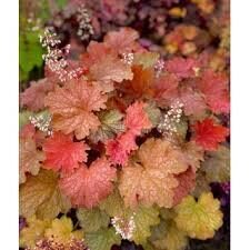 № 279 Happy autumn