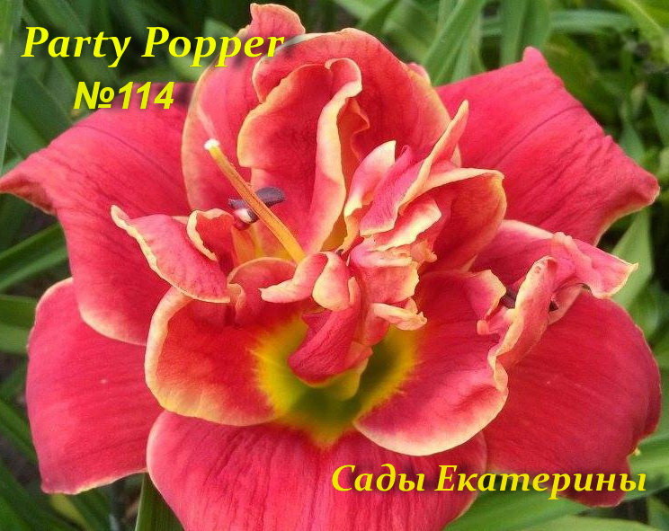 №114 Party Popper ( Пати Поппер)