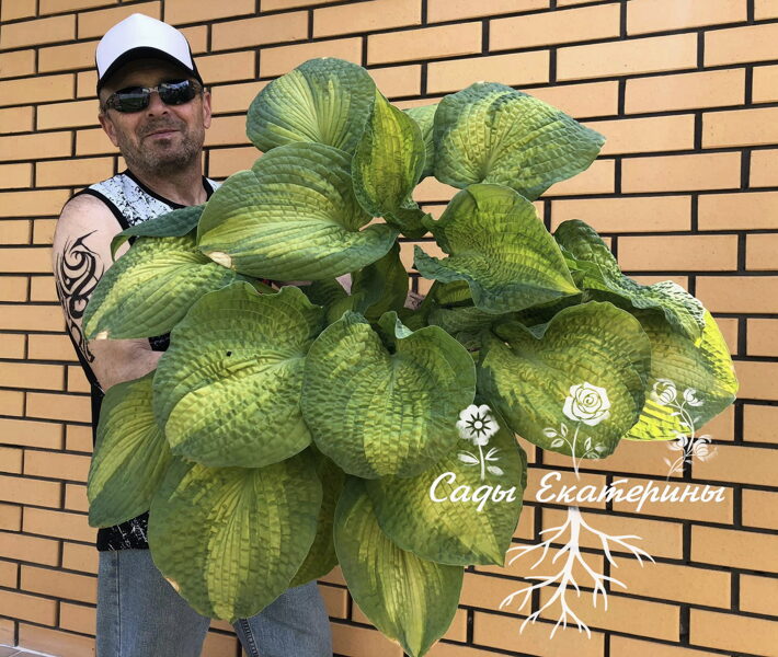 №23   Brother Stefan