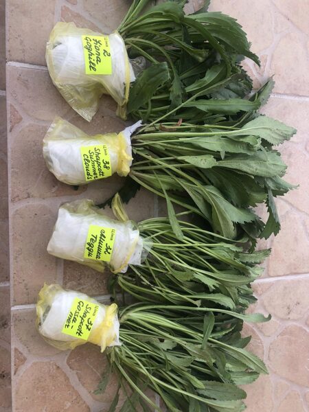 Образец отправки в сентябре