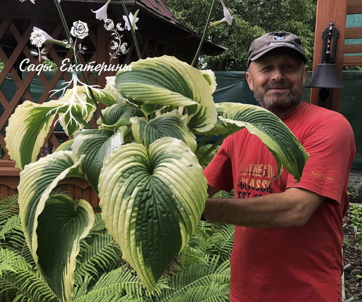   № 32   Bridal Falls