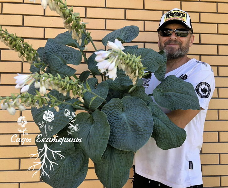 №24 Clear Fork River Valley (Клир Форк Ривер Вэллей )