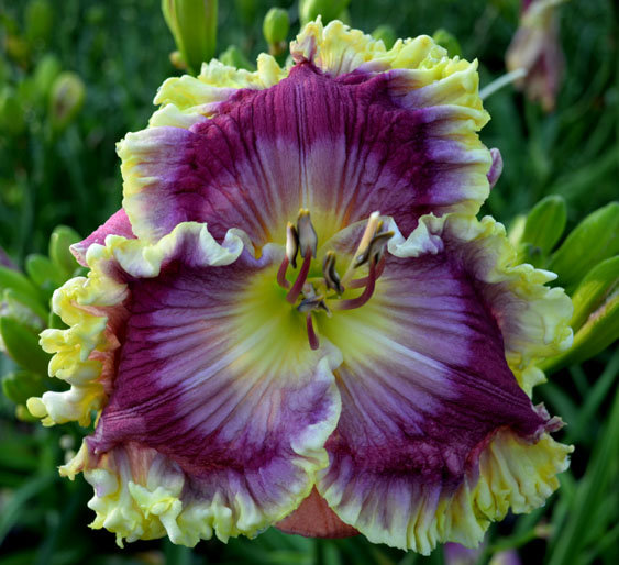  № 413  Quoting Hemmingway 