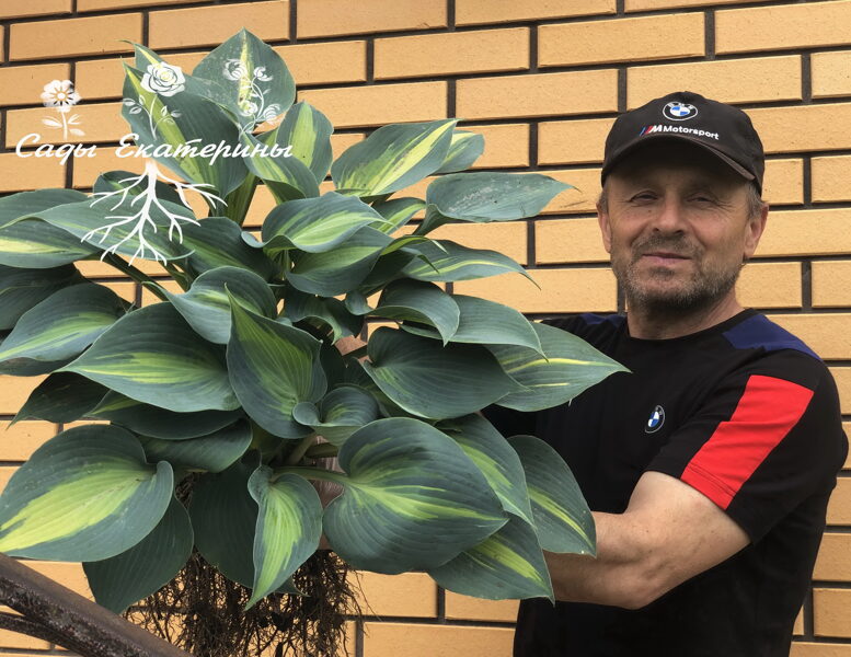 №84   Grand Marquee ( Гранд Маркью)