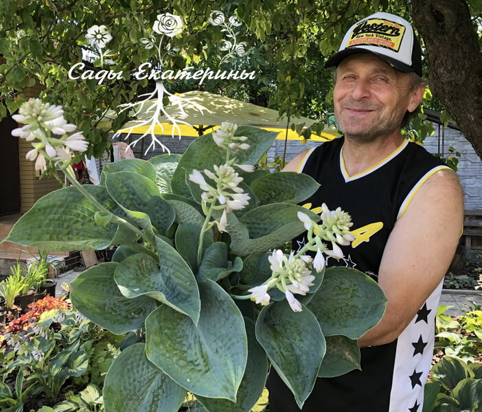 № 207 Paradise Surprise