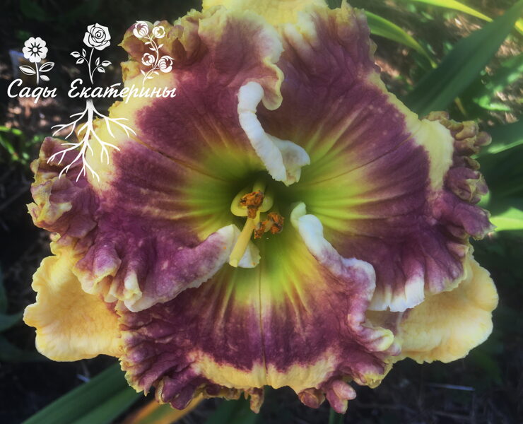  № 465  JANET AND BILL  