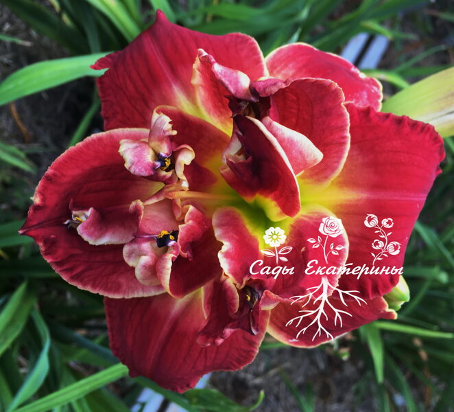 №173 Reality Shift