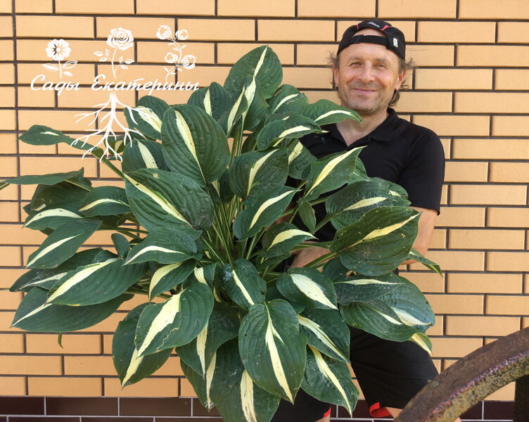  № 67 Risky Business ( Риски Бизнес )