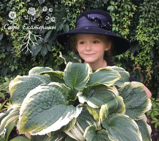 № 133 Lakeside Prophecy Fulfilled