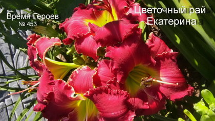 № 453 Время Героев